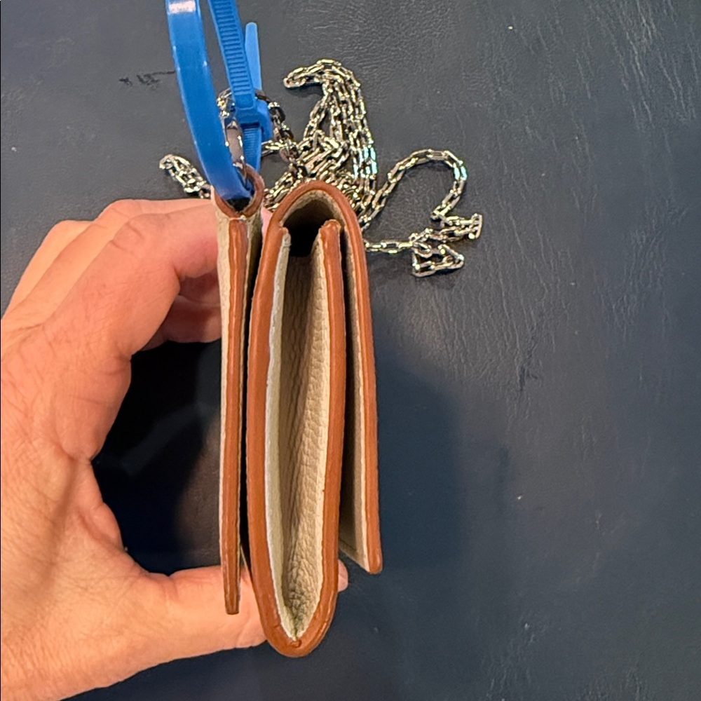 Loewe small Crossbody Wallet with Chain Strap - Picture 5 of 7
